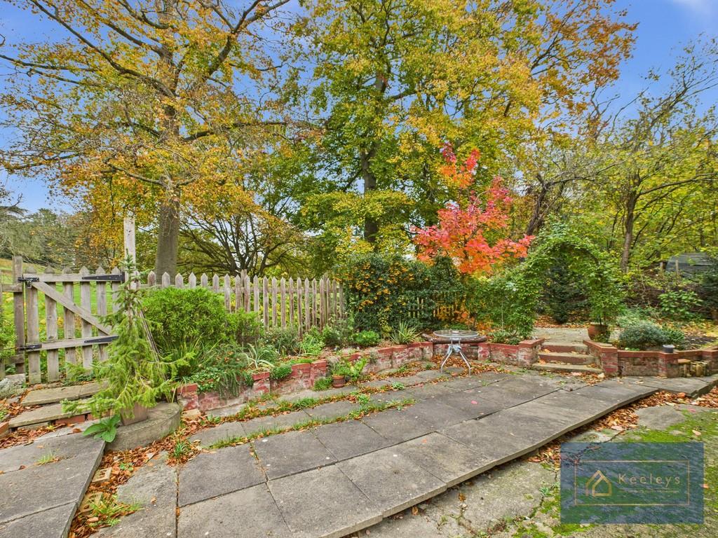 Back garden