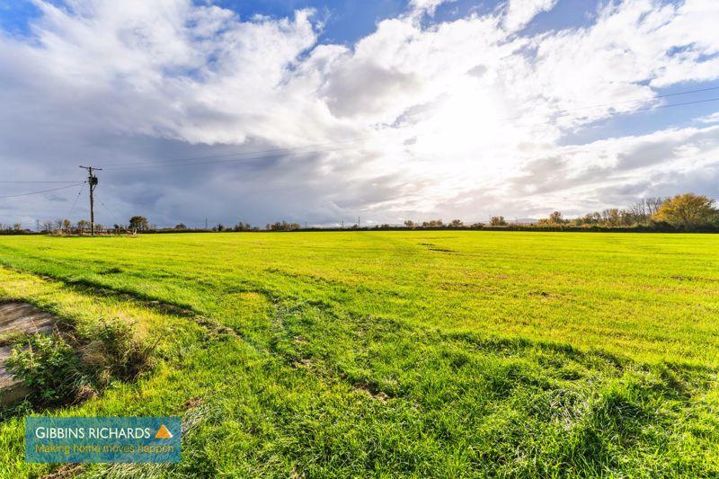 Field
