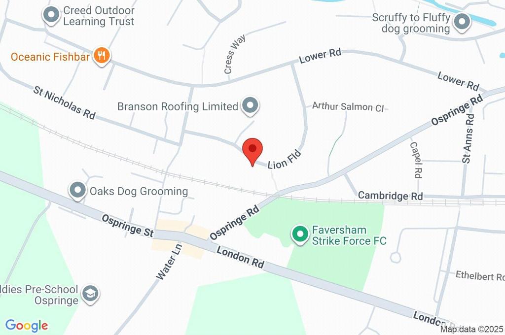 Google Maps Image