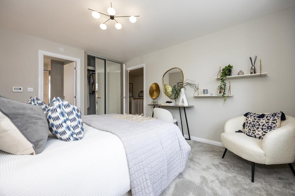 Cypress 33