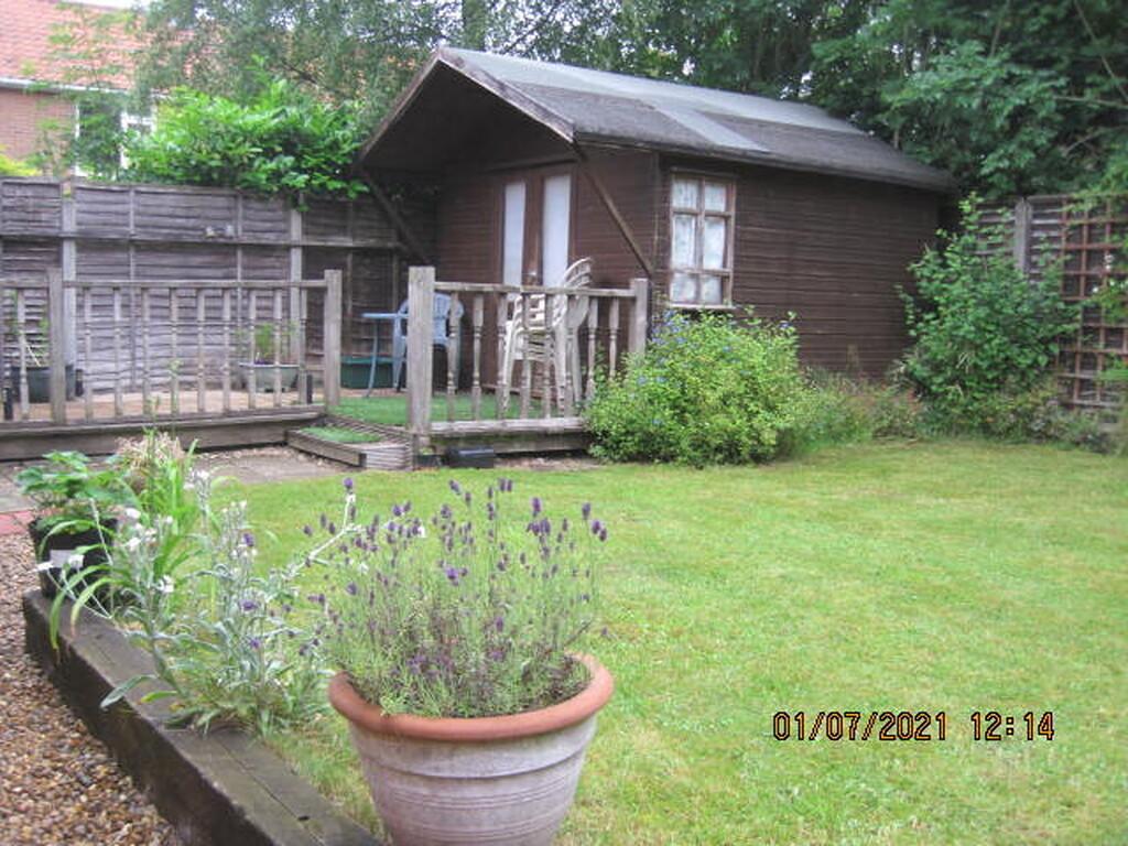 Back garden