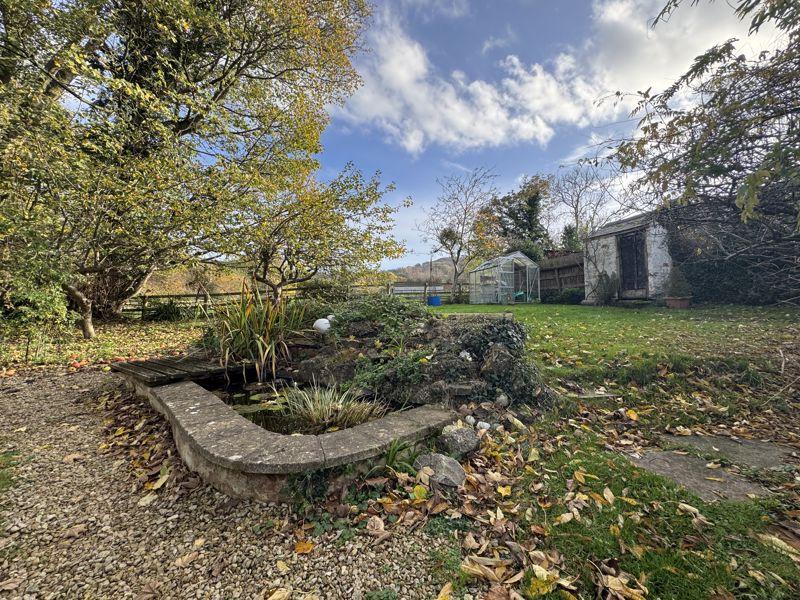 Pond and Garden