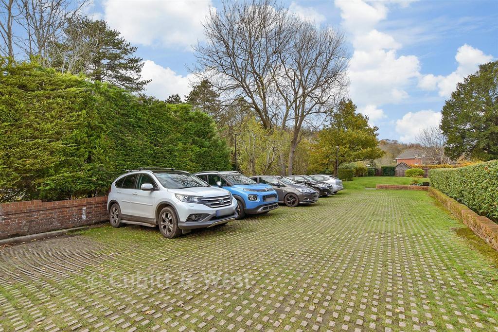 Driveway/Parking