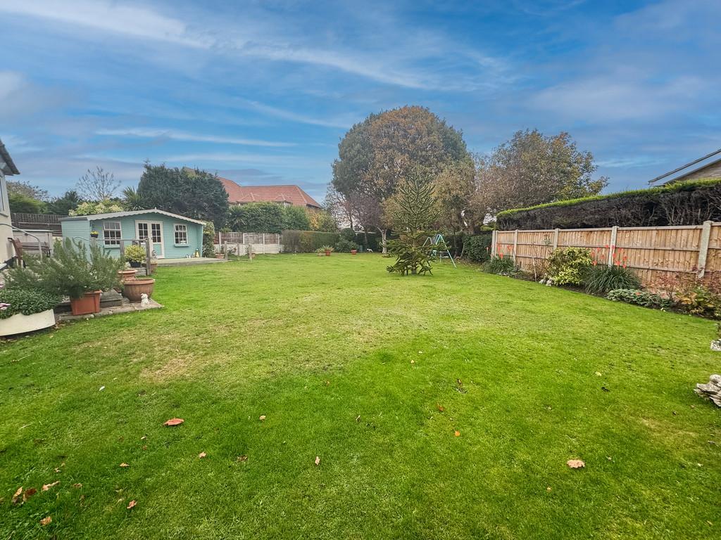 Back Garden 1