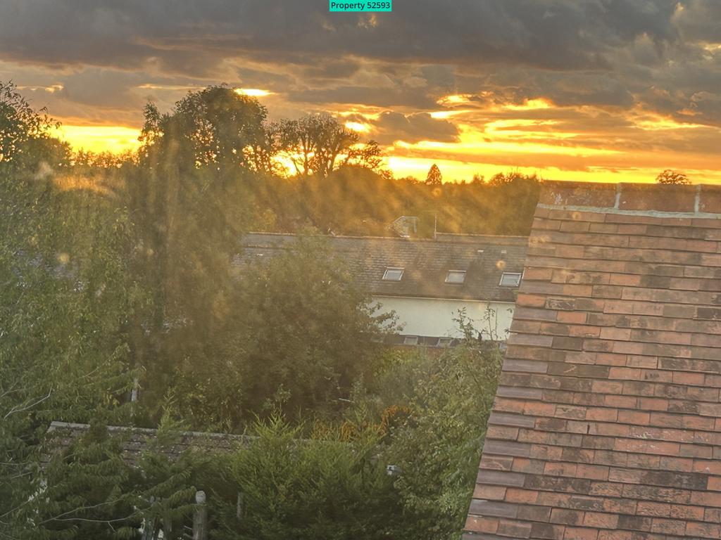 View from kitchen window