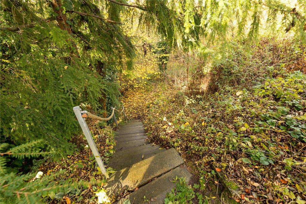 Steps To Woodland