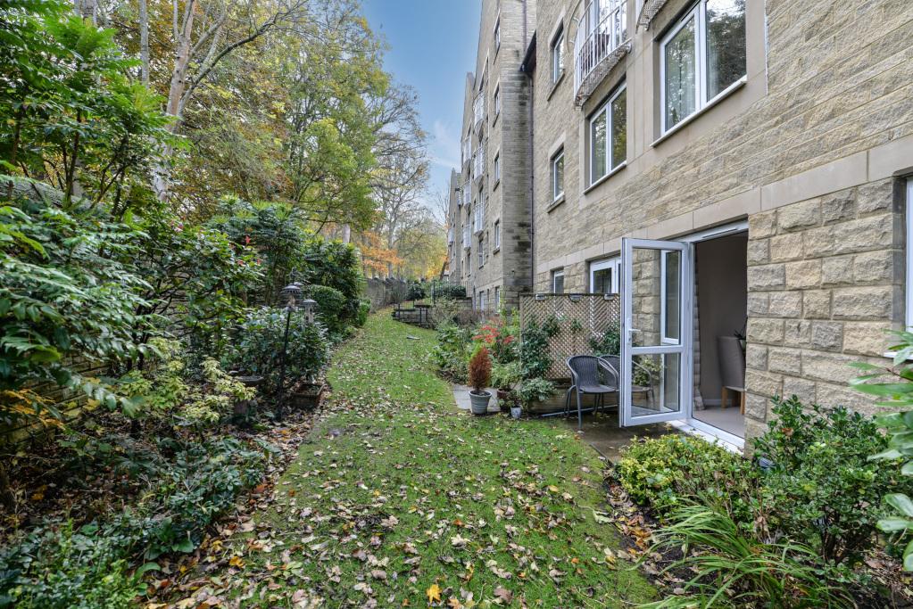 Patio and Rear