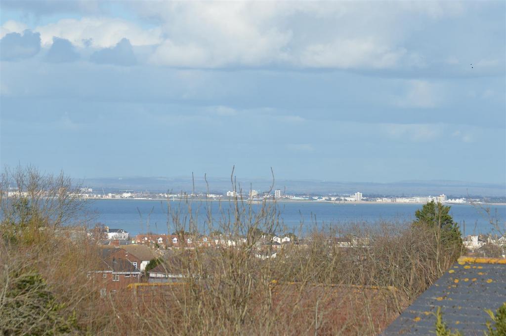Dsc 2019.jpg