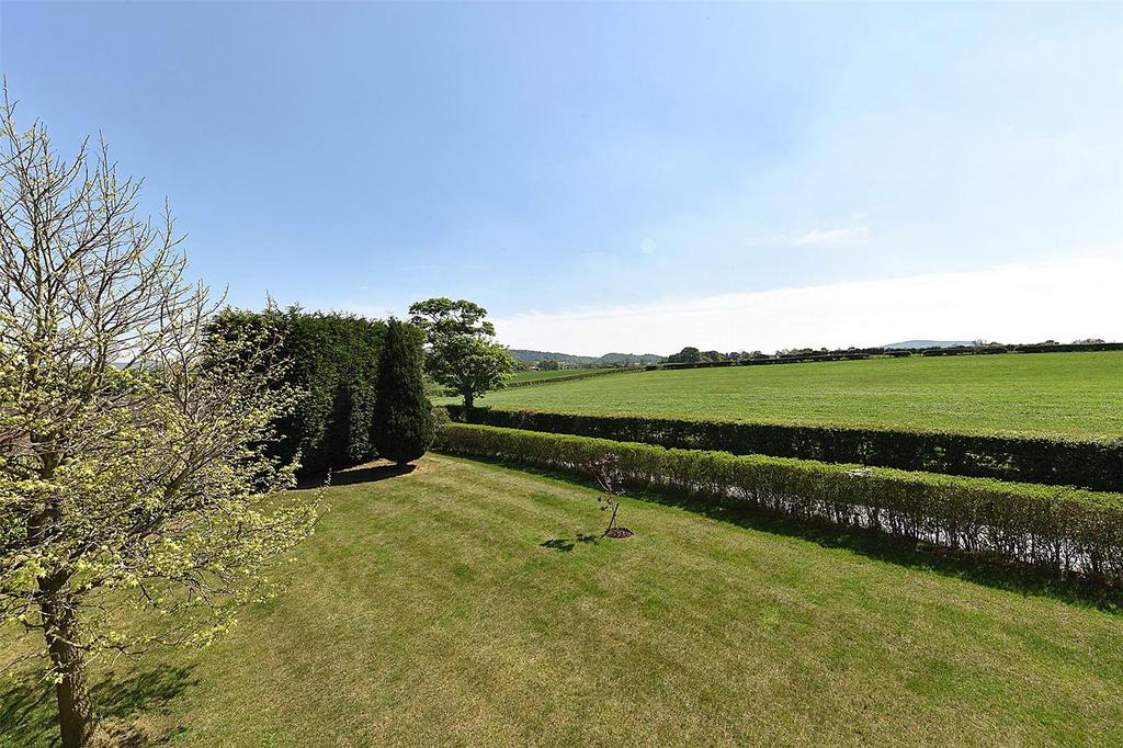 Grounds &amp; View