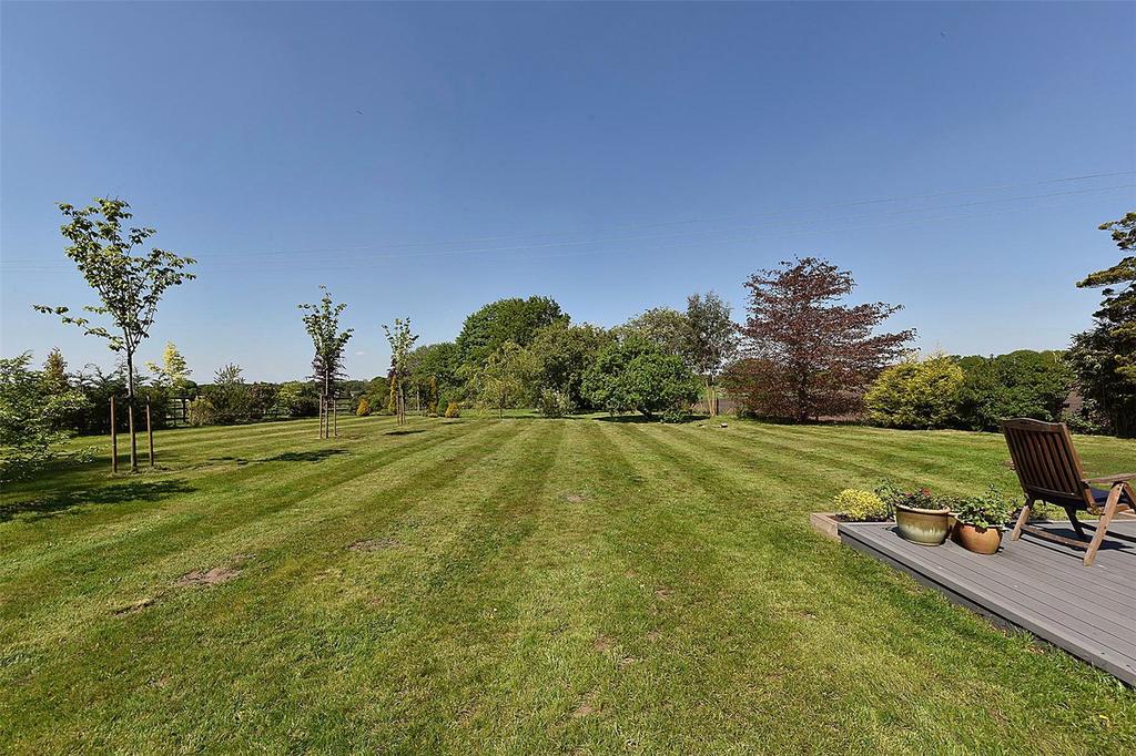 Grounds