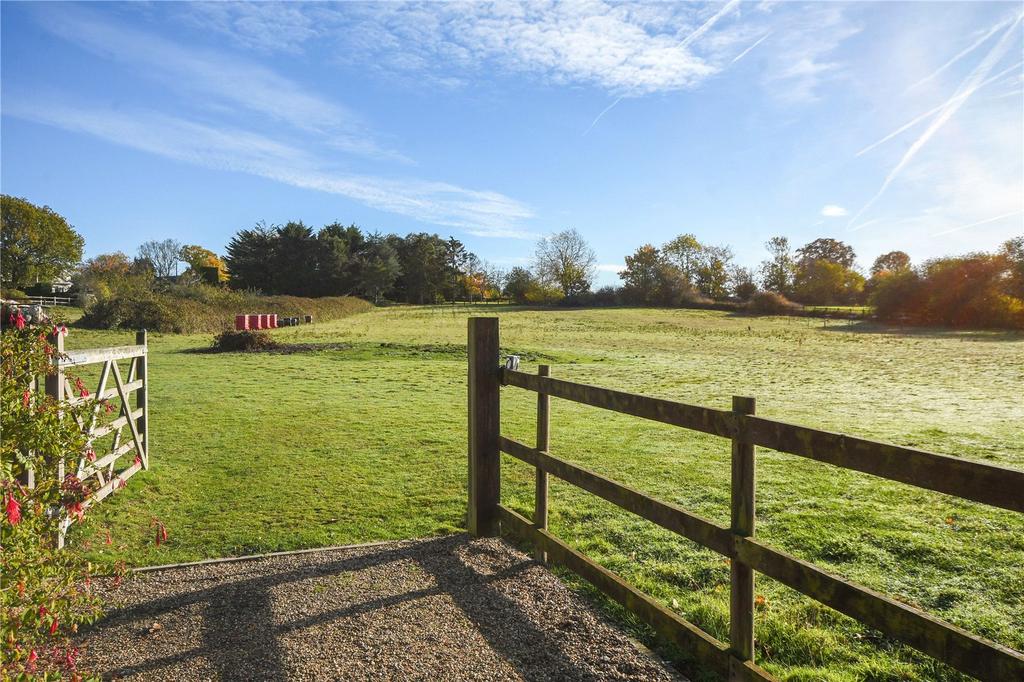 Grounds