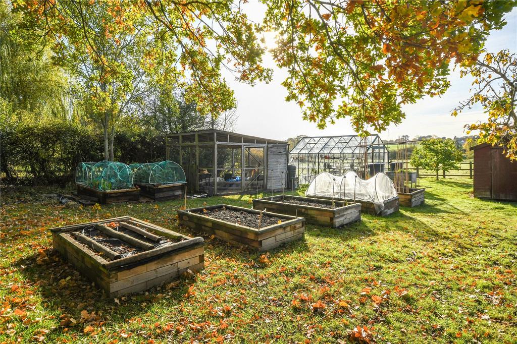 Kitchen Garden