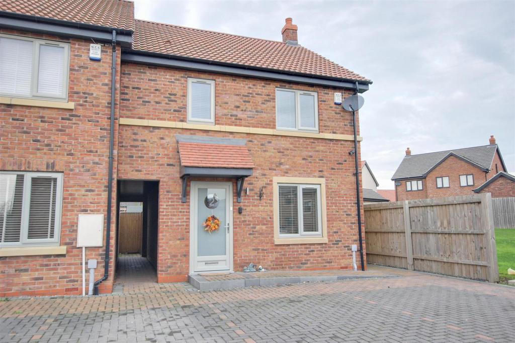 IMG 9845-IMG 9847 lzn.jpg