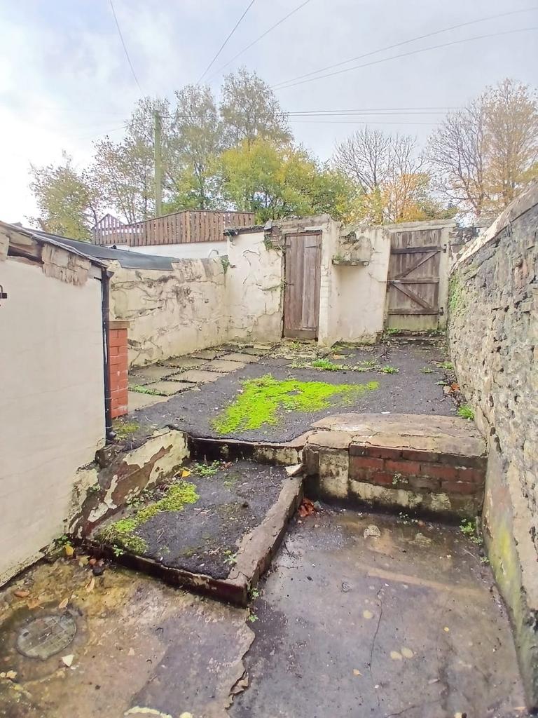 Rear yard