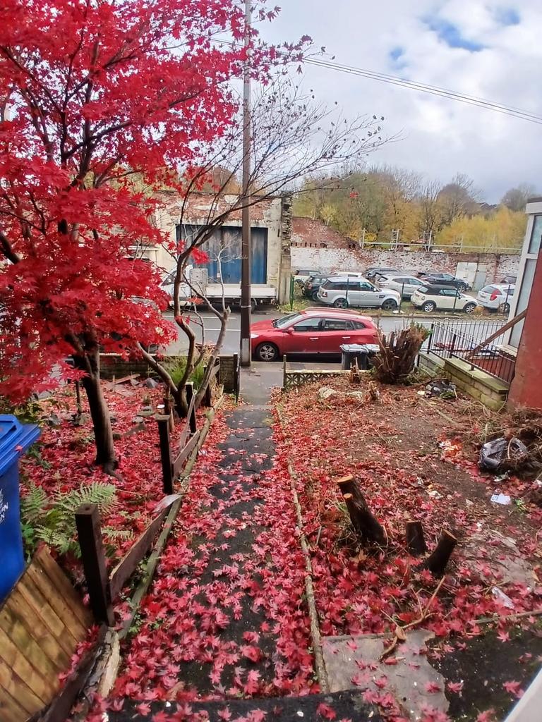 Front yard