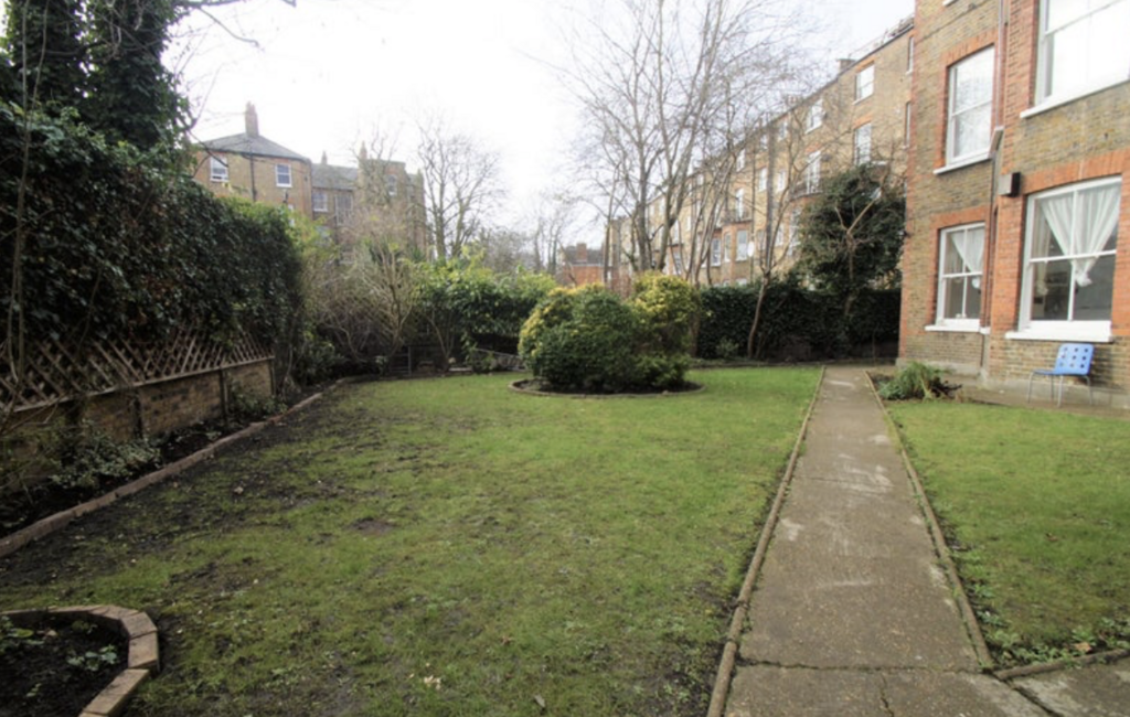 Back garden
