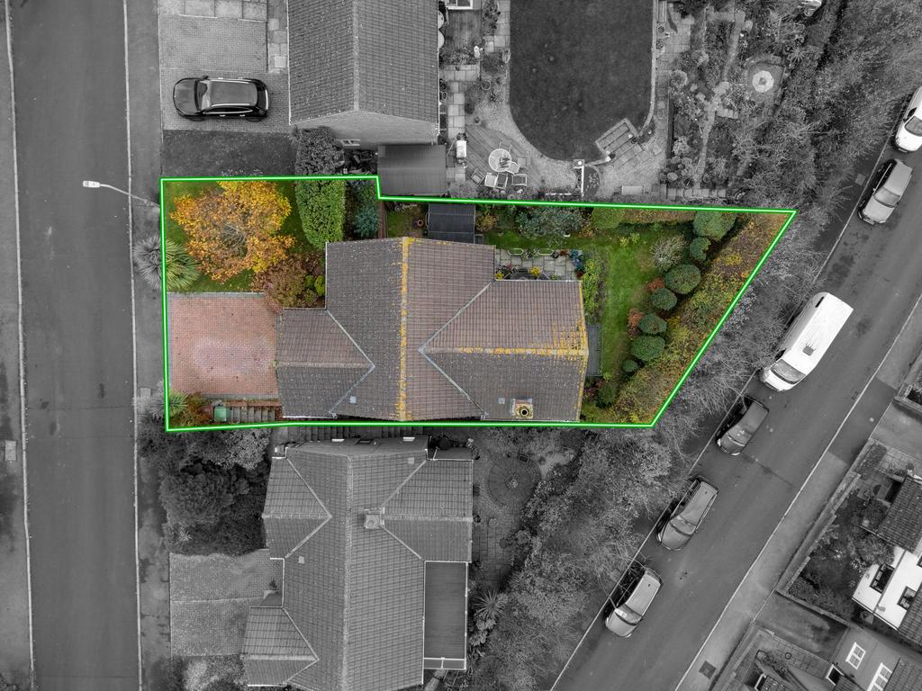 TEK Hi Res 251106 001.jpeg