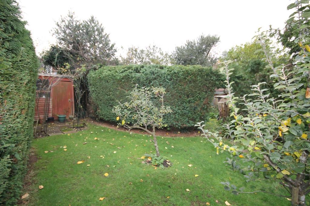 .garden3.jpg