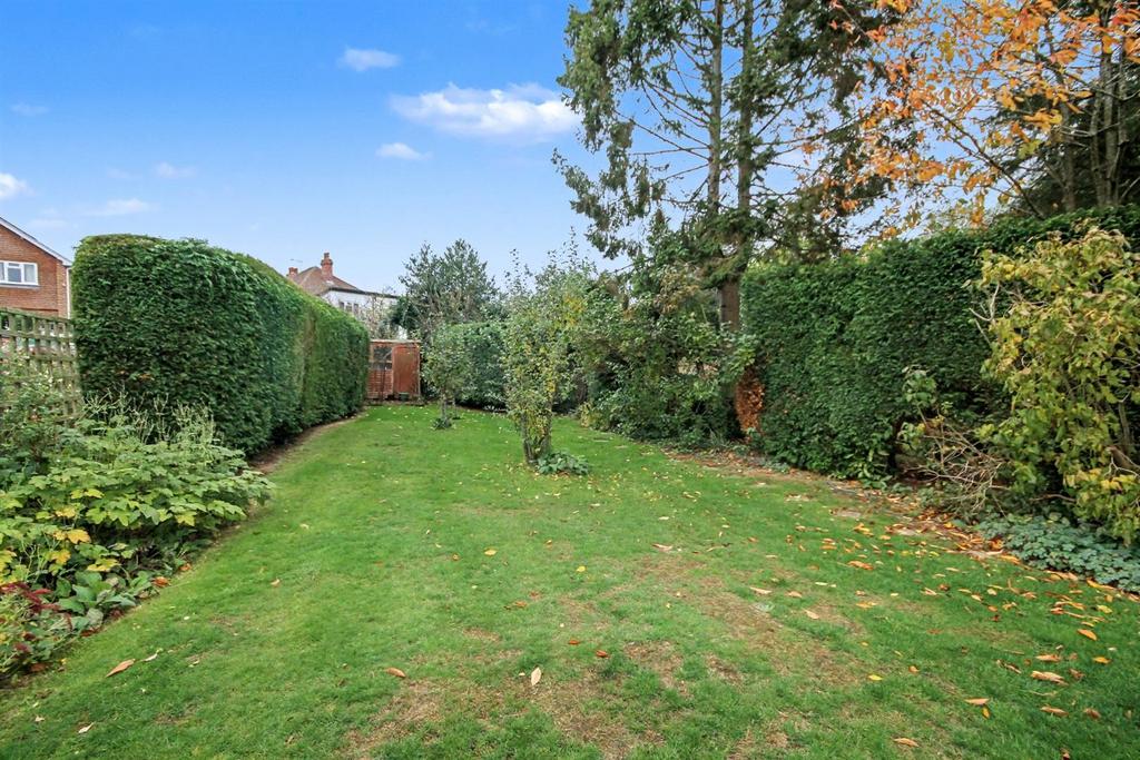 .garden (2).jpg
