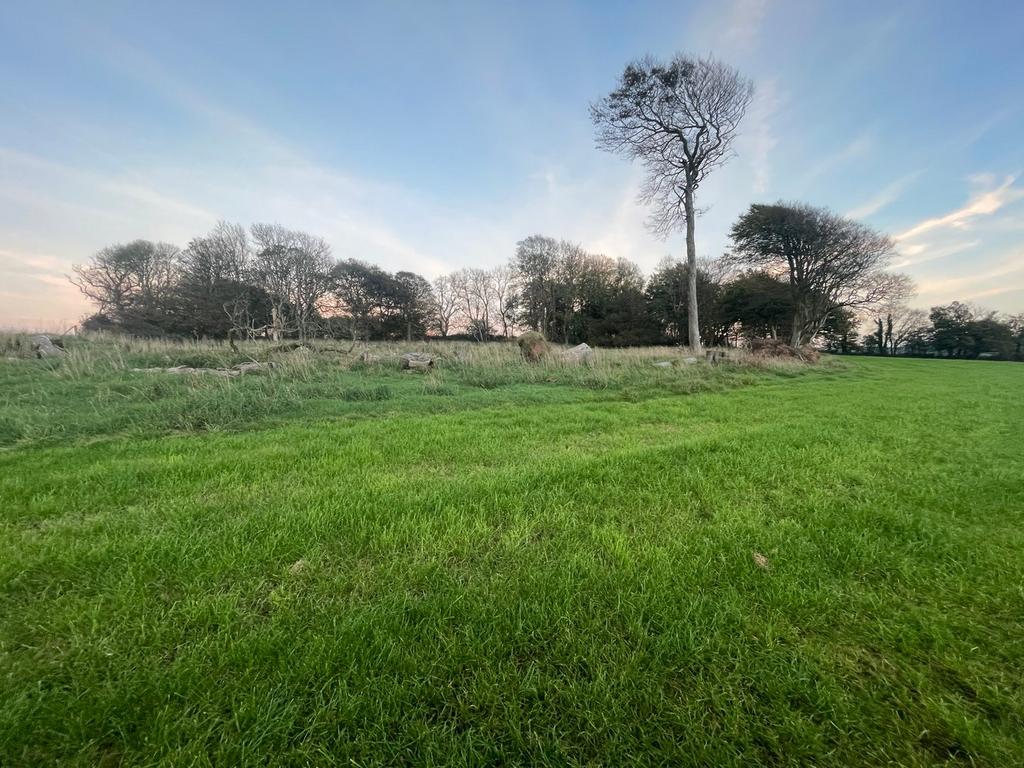 Woodland
