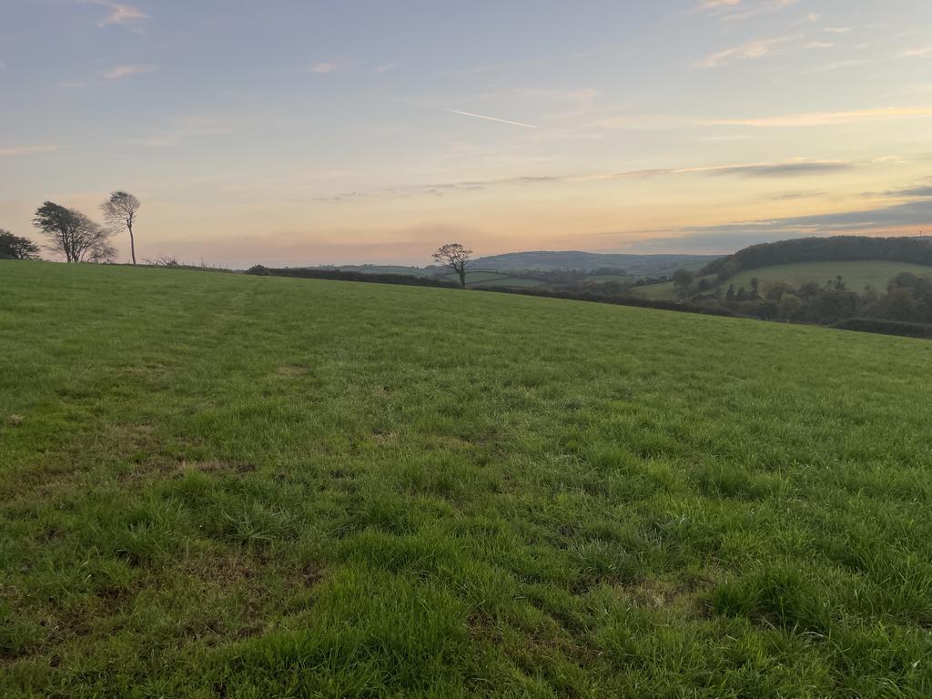 Erw Fawr