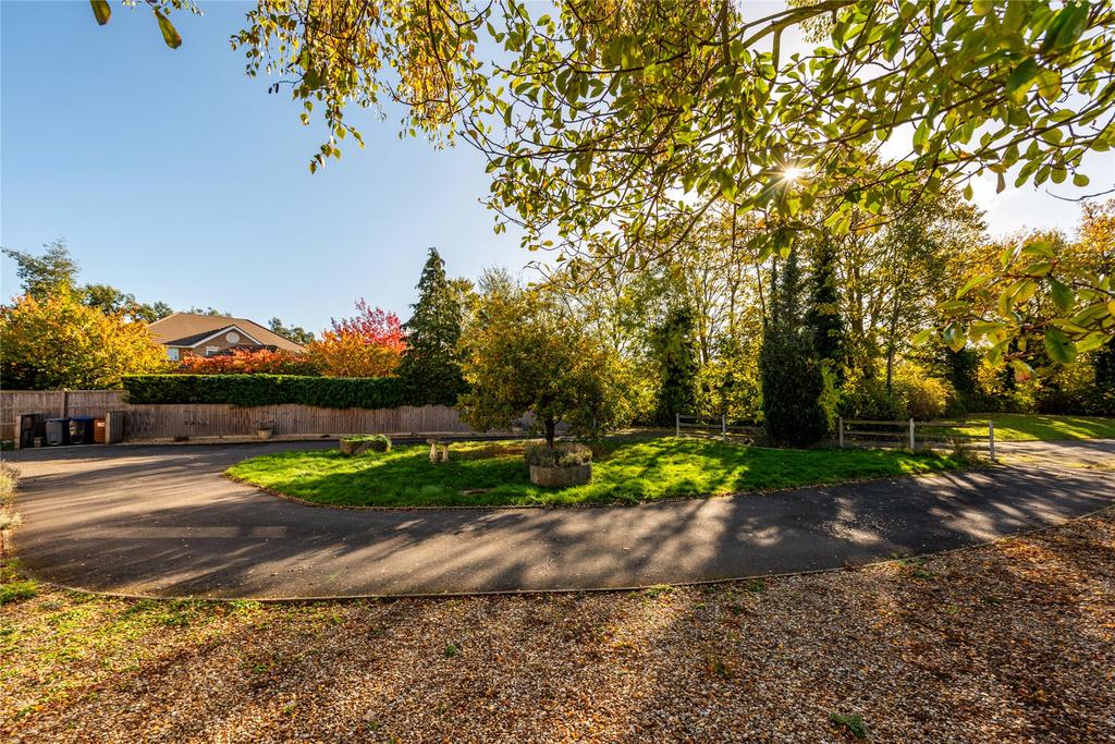 Driveway