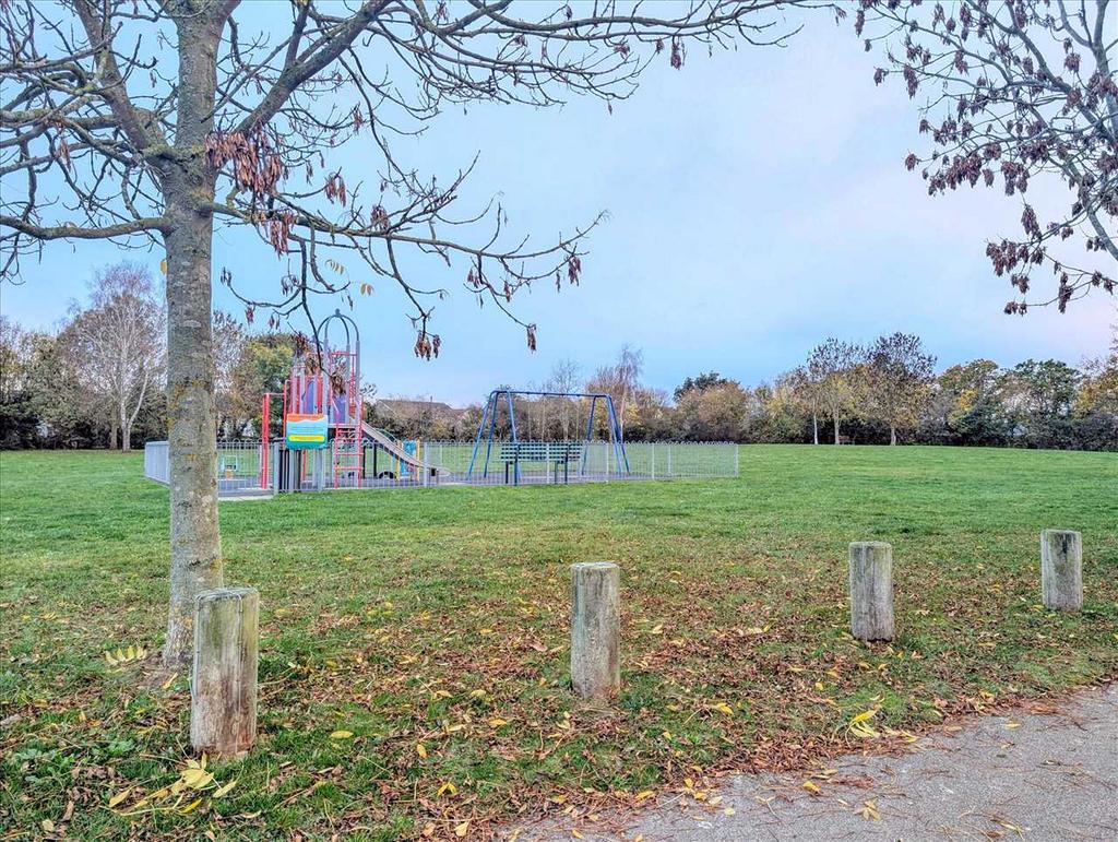 Park / Field