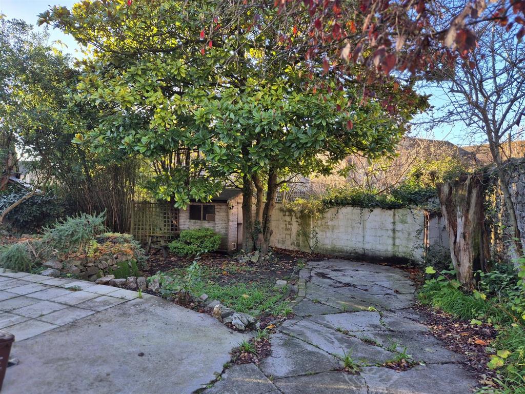 20251125 101150 resized.jpg