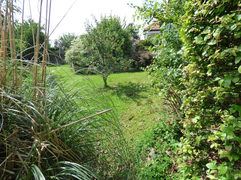 Garden 1