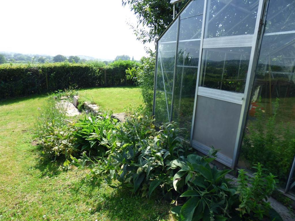 Greenhouse