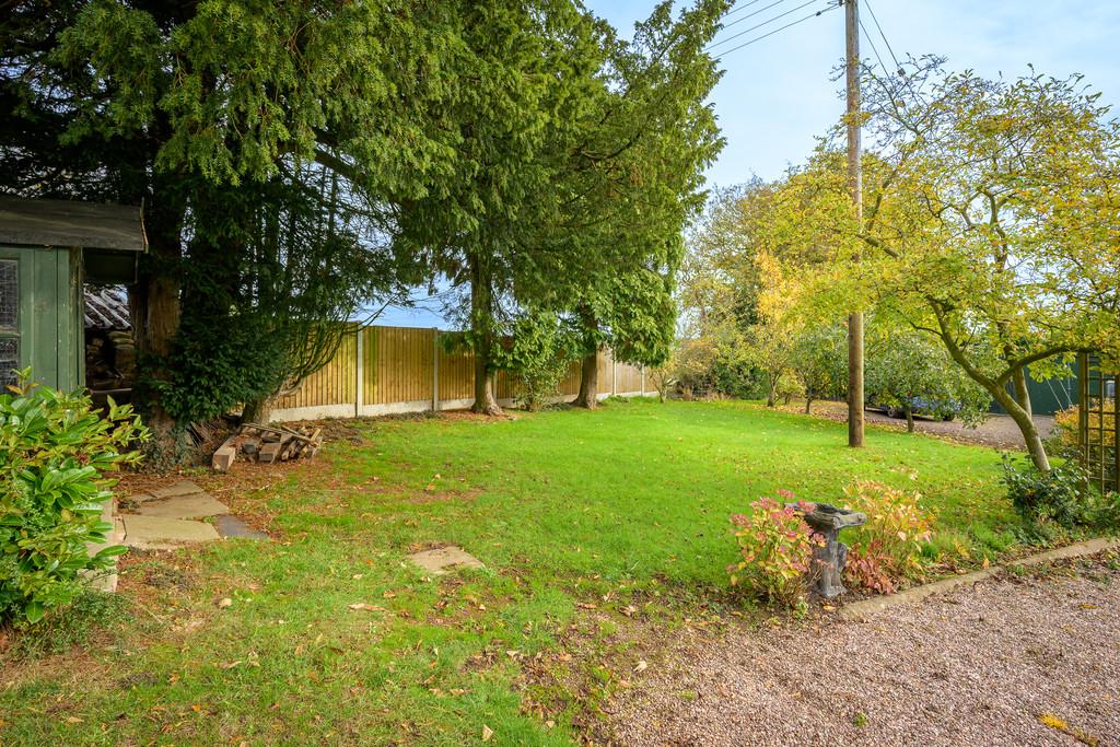 Garden 5