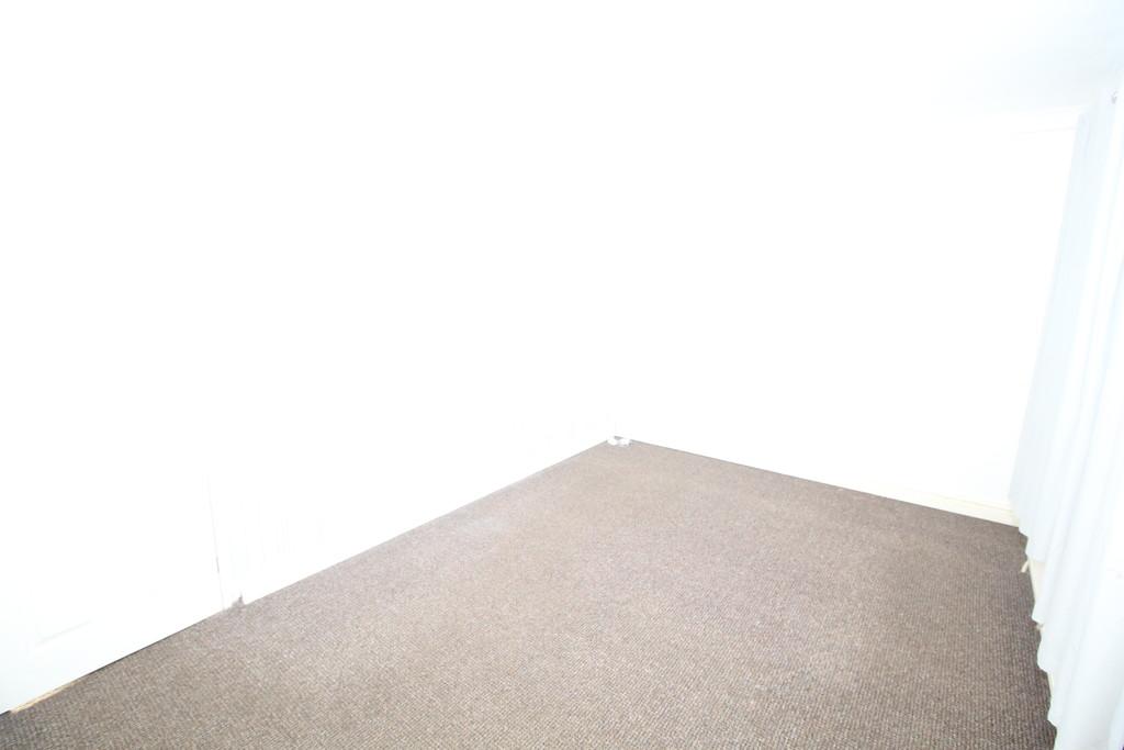Img 1357