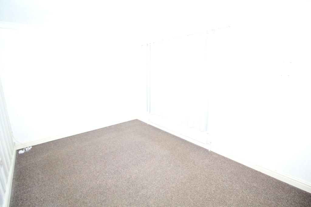 Img 1358