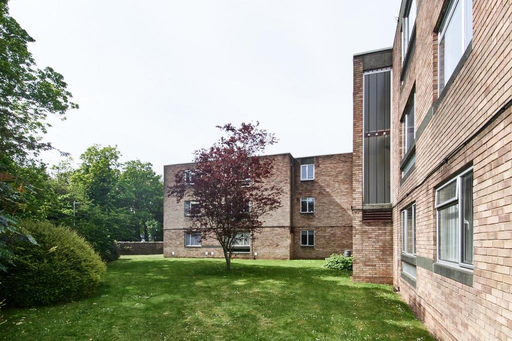 Communal garden.jpg