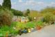 60' Rear Garden