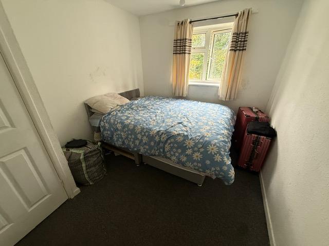 IMG 0473.jpg