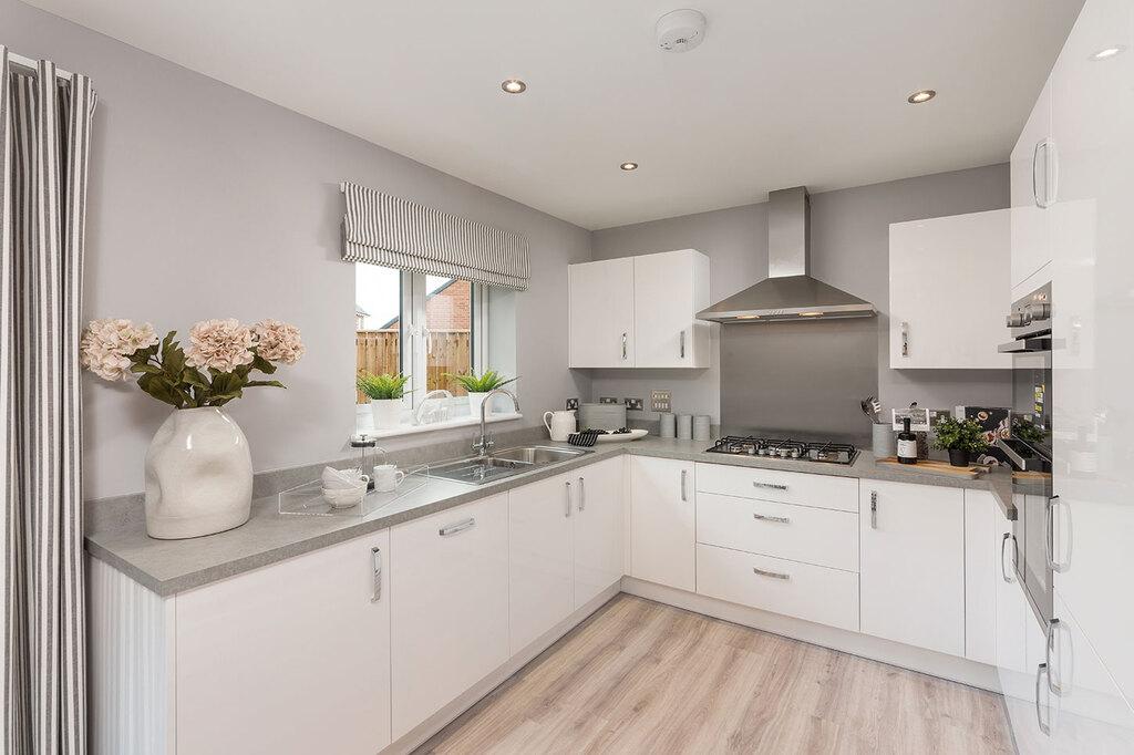 Typical Kitchen 1