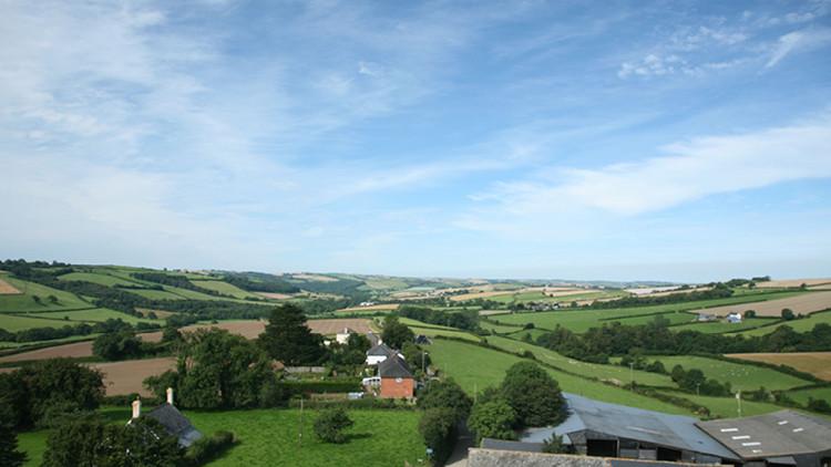 Plot image