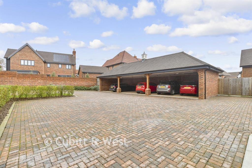 Driveway/Parking