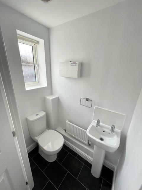 Image8