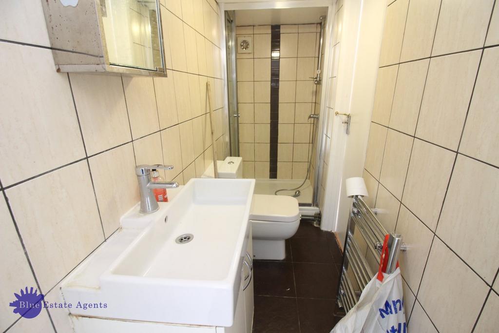 Downstairs Shower