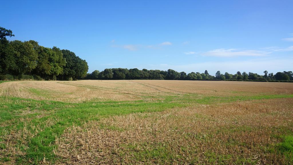 Land for sale on Gaddesden Row