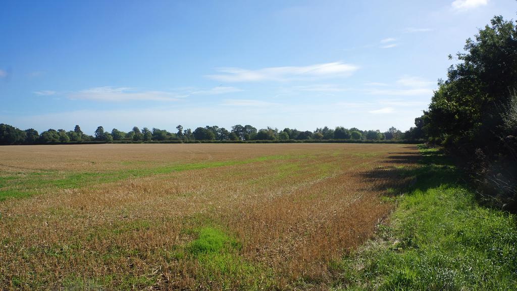 Land for sale in Gaddesden Row