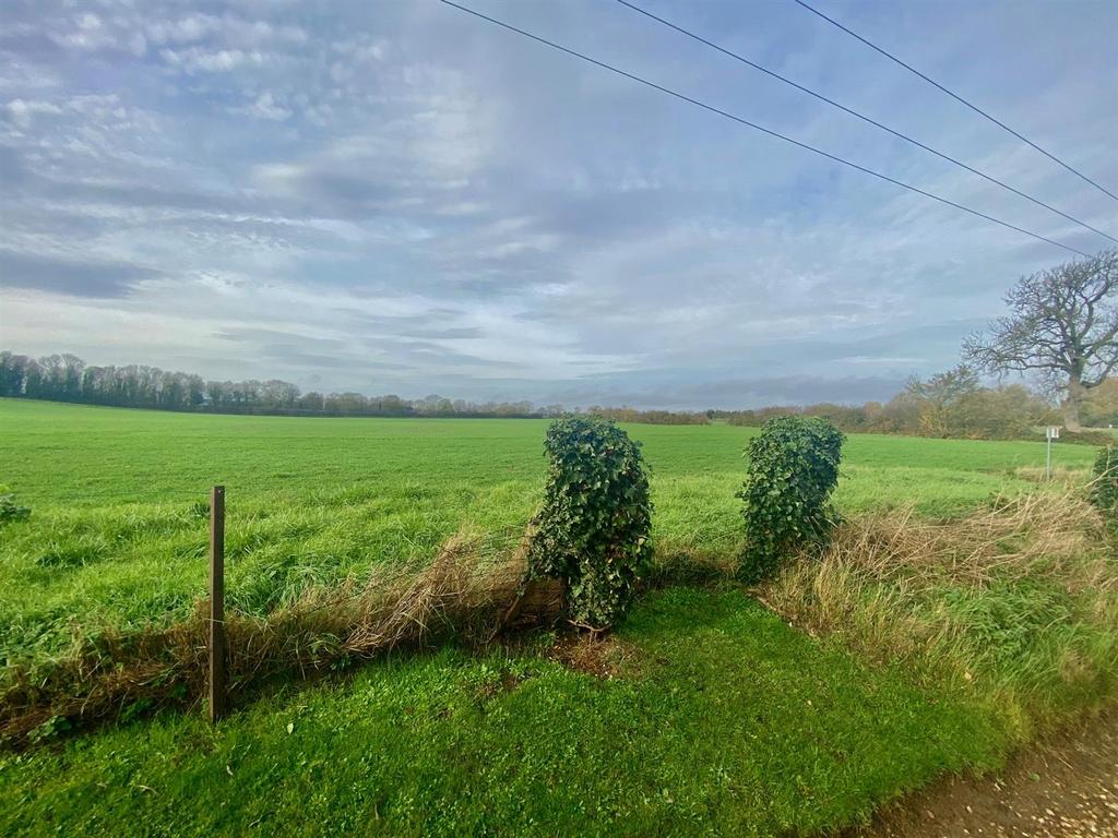 Open View To Front