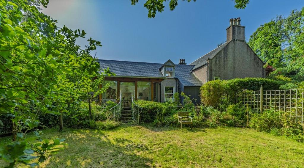 Extension View