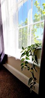 6 bedroom terraced house to rent, Gravesend, Kent DA12