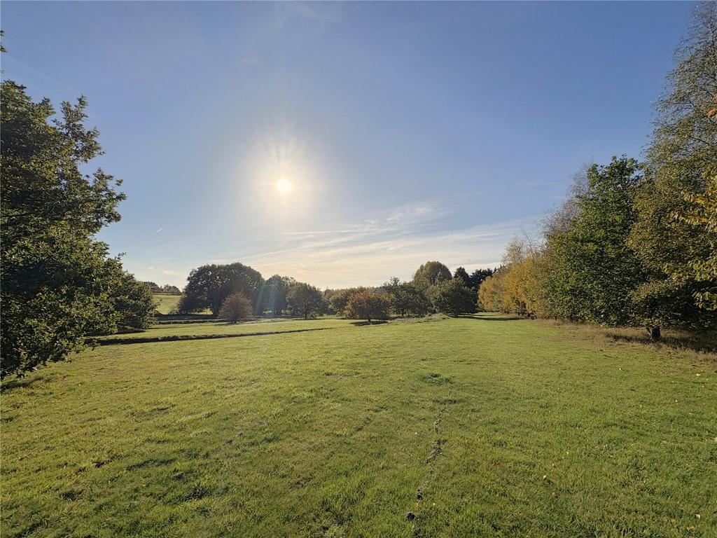 Pasture