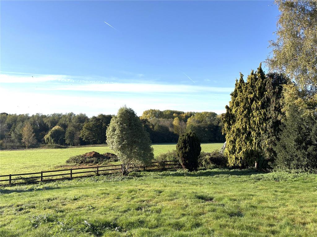 Meadow
