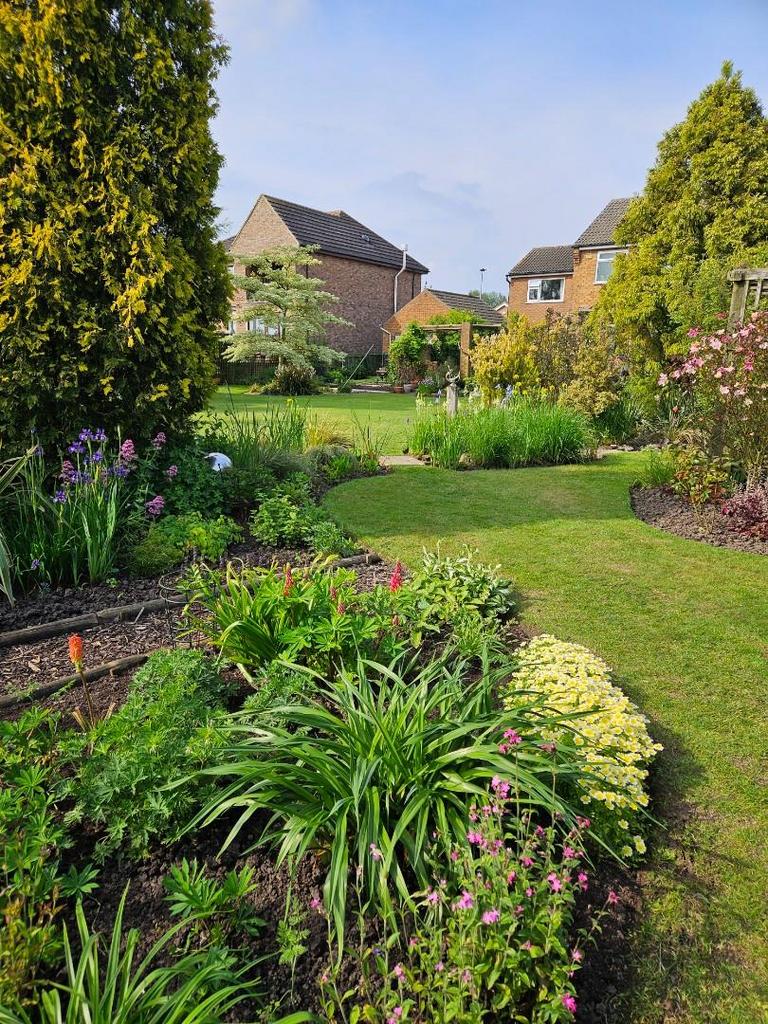 Garden3.jpg