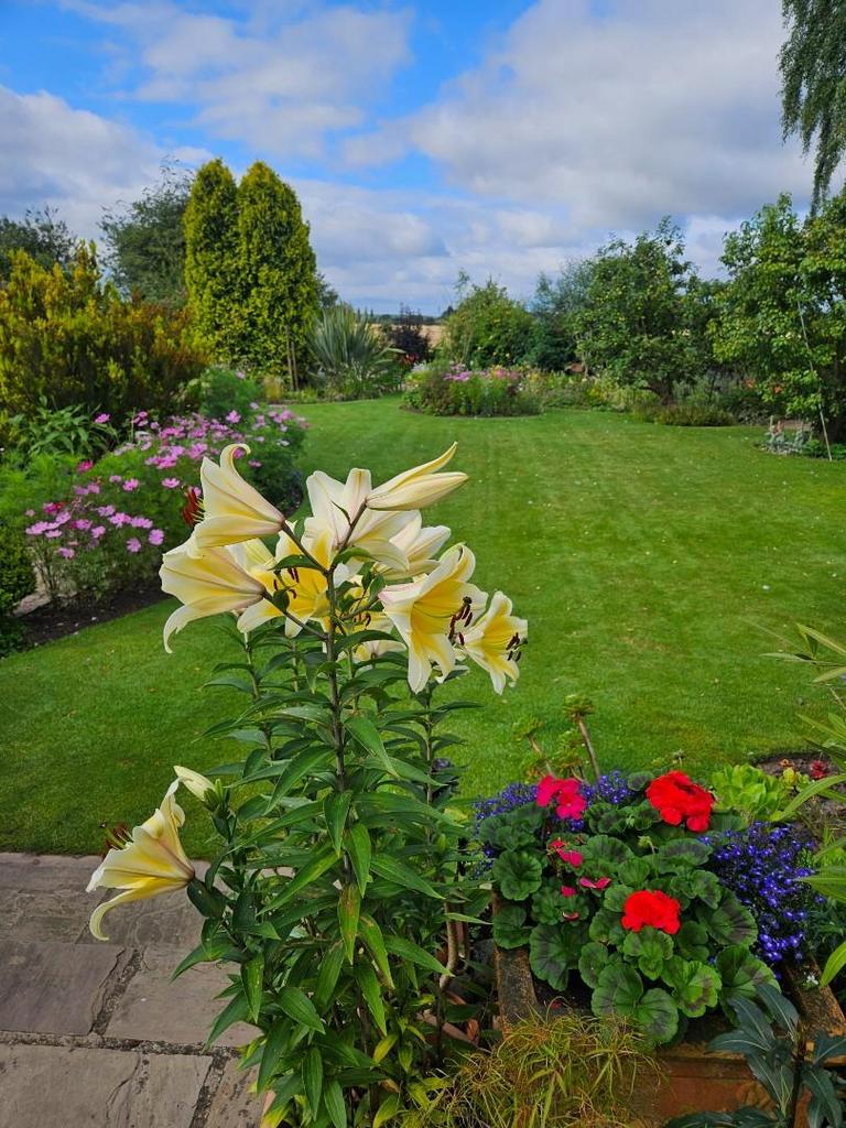 Garden5.jpg
